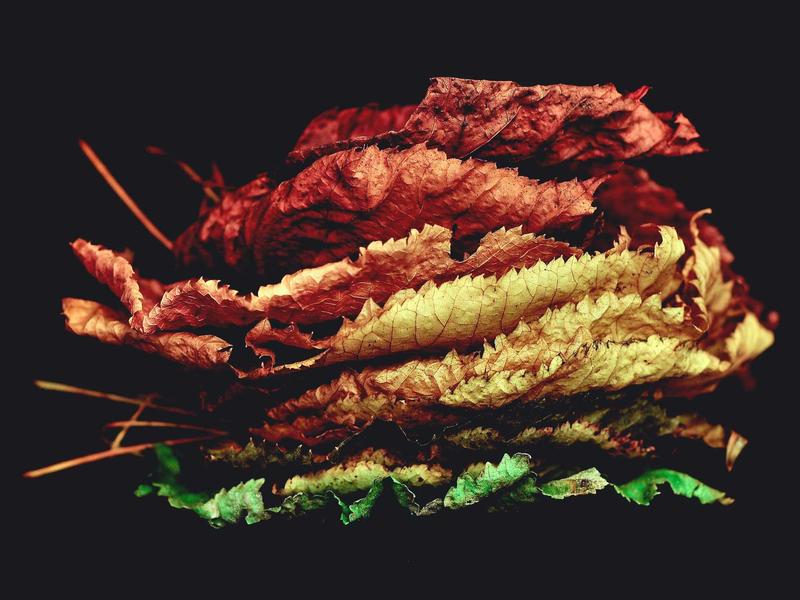 时间晶体<br>kclfxfu.cn 永动四维结构